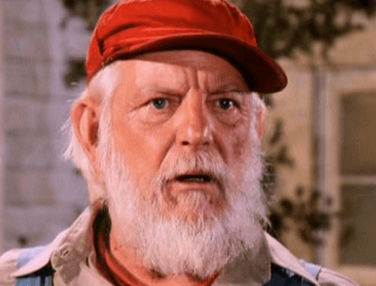 Denver Pyle Net Worth