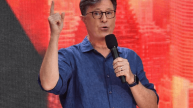 Stephen Holding Net Worth